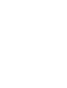 SAIGON NEEDLE